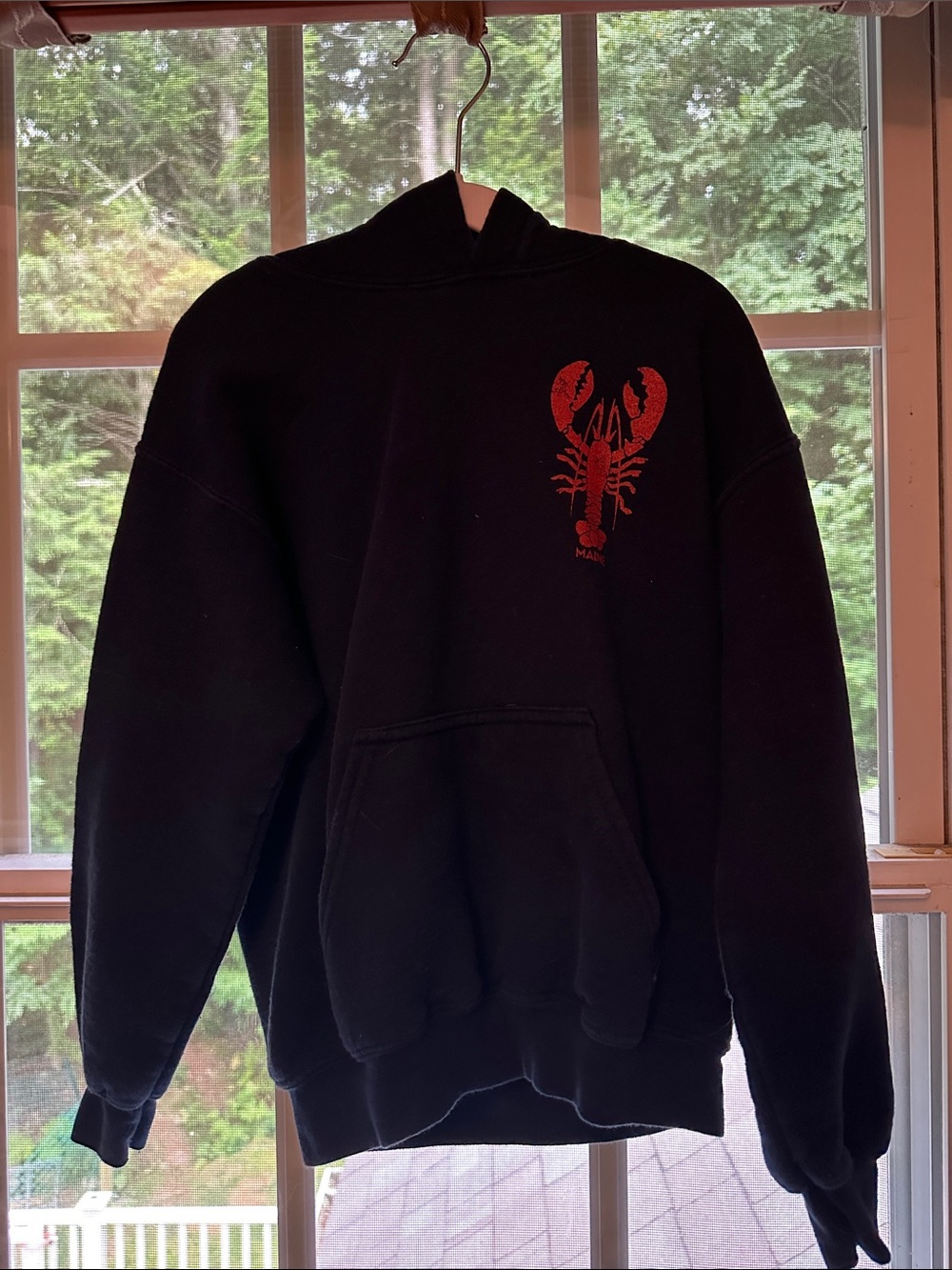 Navy Blue Maine themed Hoodie with Red Lobster Graphic